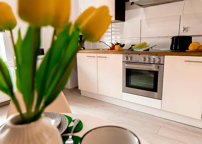 아파트 Zieleniec-julia 3 두슈니키 즈드로지